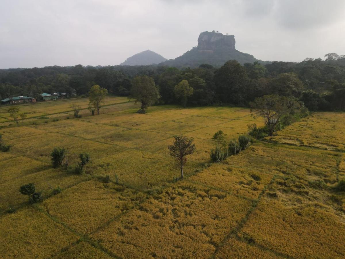 Sigiriya Paradise Inn Esterno foto