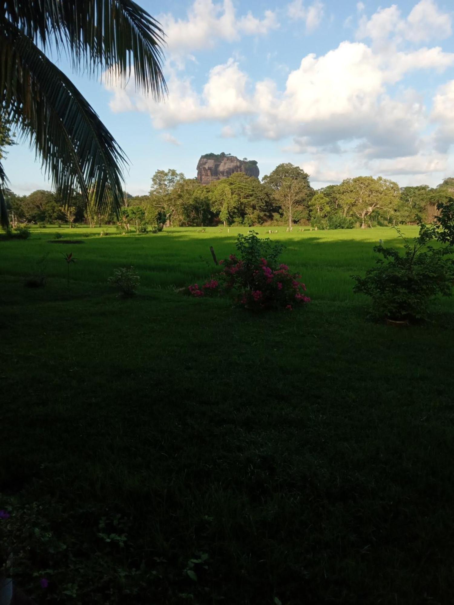 Sigiriya Paradise Inn Esterno foto